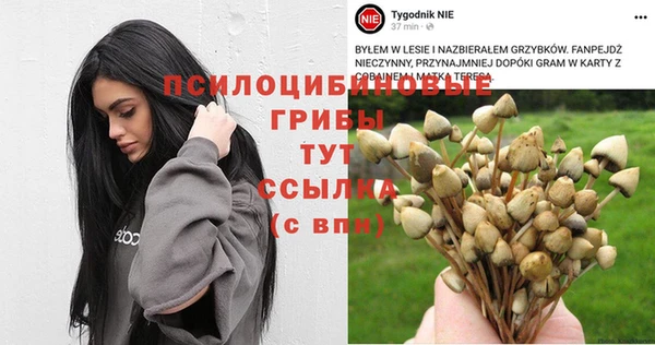 mdpv Заволжье