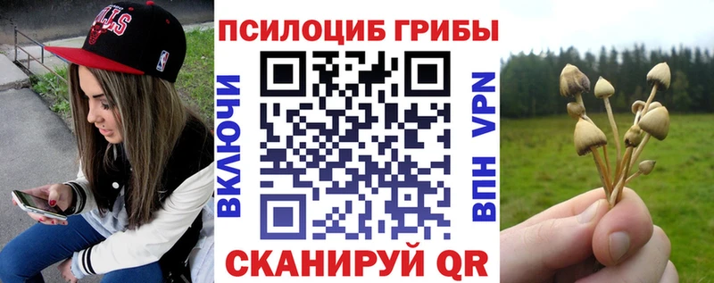 Псилоцибиновые грибы прущие грибы где купить Каргополь